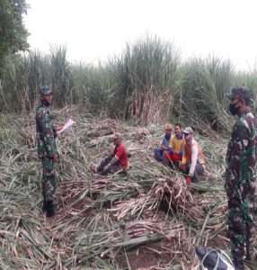 Pastikan warga laksanakan Vaksin Dosis-3 (Vaksin Booster), Babinsa Koramil 0805/07 Ngrambe sosialisasi kepada para buruh tani