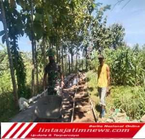 Permudah Angkut Hasil Pertanian, Babinsa Gondangsari Bantu Warga Bangun Rabat Jalan Pertanian