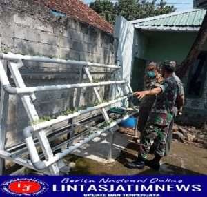 Kreatifitas Koramil Klego  Tanam Sayur Ala Hidroponik