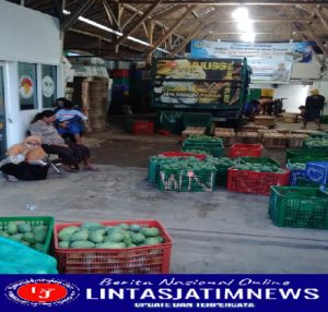 Menengok Desa Penghasil Mangga di Gresik