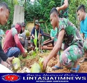 Kelapa Muda Juga Turut Berpartisipasi Dalam TMMD ke 113 Kodim 0802/Ponorogo
