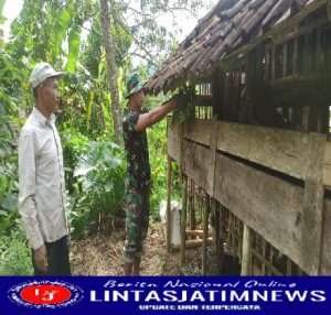Disela Sela Istirahat Kerja, Anggota Satgas TMMD ke 113 Kodim 0802 Belajar Cara Ternak Kambing