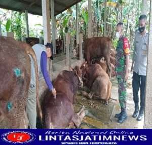 Bhabinkamtibmas Polres Gresik Rutin Pantau Perkembangan PMK