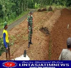 Babinsa Koramil Ngrambe Laksanakan Sosialisasi Tentang Tanaman Alternatif Jelang Musim Kemarau