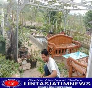 Anggur Puluhan Varietas dibudidayakan Petani Milenial di Tuban