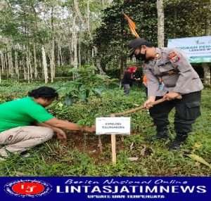 Peringati Hari Lingkungan Hidup, Forkopimda Tulungagung Tanam 25 Ribu Pohon