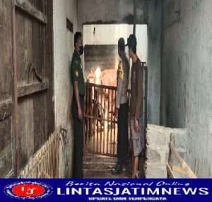 Kodim Sragen, Babinsa Pantau dan Cek Ternak Sapi Antisipasi Wabah PMK