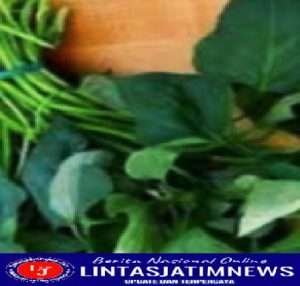 Manfaat Daun Ubi Rambat bagi Kesehatan Tubuh