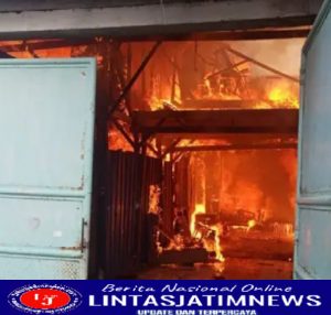 Akibat Bakar Sarang Tawon, Toko Furniture di Surabaya Ludes di Lilit Sijago Merah