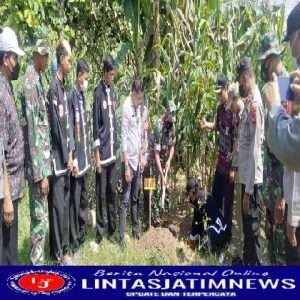 Sebanyak Seribu Bibit Pohon Eucalyptus Hijaukan Pulau Sepatu, Sambungmacan