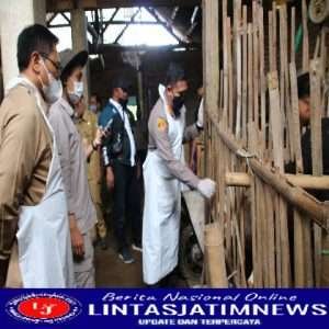 Optimalkan Penanganan PMK Polresta Malang Kota  Gelar Vaksinasi Hewan Ternak