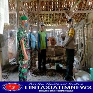 Ini Upaya Babinsa Koramil Bringin Cegah Penyebaran PMK Di Wilayah Binaannya