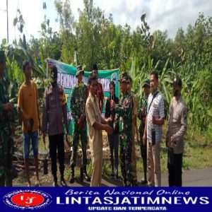 Koramil Kemusu Bersinergi Dengan Elemen Masyarakat Tanam Bibit Eucalyptus