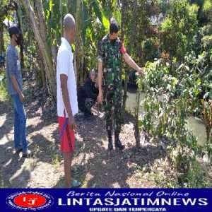 Dalam Rangka Penghijauan di Wilayah, Babinsa Joyotakan Cek Lokasi di Lapangan