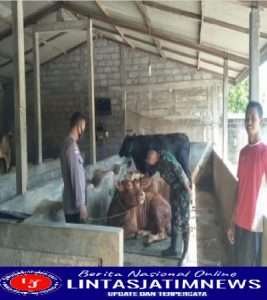 Jelang Hari Raya Qurban, Babinsa Dan Babinkamtibmas Intens Patroli PMK