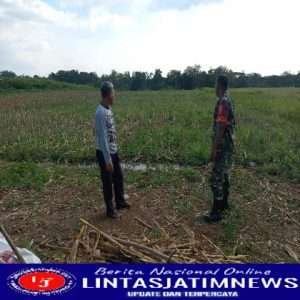 Sertu Subagya Laksanakan Pengecekan Lahan Tidur Di Wilayah Binaannya