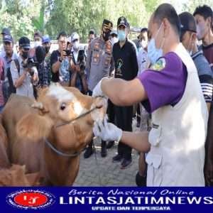 Jelang Hari Raya Idul Adha, Polres Madiun Lakukan Pengawasan Hewan Ternak
