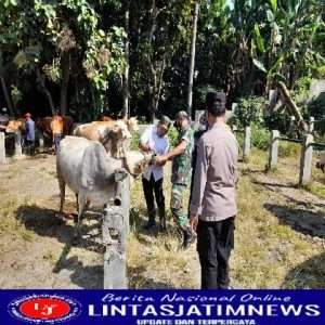 Jelang Hari Raya Kurban, Petugas Gabungan Gelar Operasi PMK Di Pasar Hewan