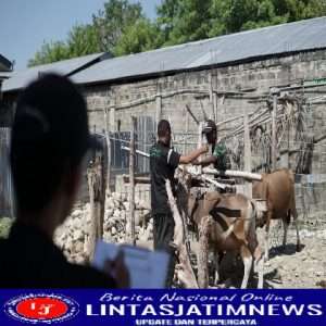 Wabah PMK Tak Menyulutkan Animo Masyarakat Untuk Berkurban