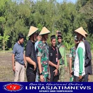 Horee..Kodim 0725 Sragen Panen padi