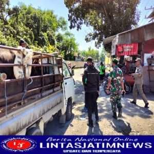 Jelang Idul Adha, Pos Check Point PMK Dijaga Ketat TNI Polri dan Disnakeswan Lamongan