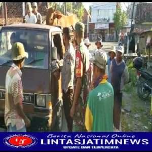 Cegah PMK Polres Pamekasan Lakukan Pemeriksaan Kendaraan Pengangkut Hewan Ternak di Perbatasan