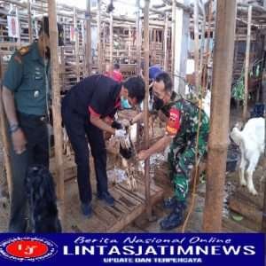 Kodim 0735/Surakarta Bersama Petugas Gabungan Gelar Operasi PMK Di Pasar Hewan