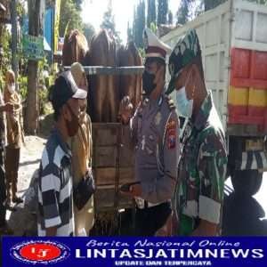 Lakukan Pemeriksaan Hewan Ternak, Pemkab Bersama Polres Bondowoso Cegah PMK