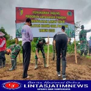 Manfaatkan Lahan Tidur, Dandim 0801/Pacitan Pimpin Tanam Jagung Tingkatkan Ketahanan Pangan