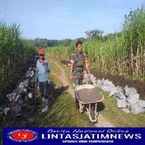 Babinsa Sambi Andil Dalam Pembangunan Talud Irigasi
