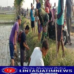 Gropyokan Tikus Gencar Dilakukan di Desa Tangkil, Bagaimana Caranya?