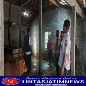 Konsisten Dalam Mencegah PMK, Babinsa Tunggul  Aktif Sosialisasikan Bahaya PMK