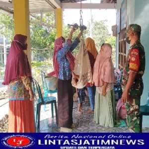 Bentuk Kepedulian Kesehatan Balita Babinsa Dampingi Kegiatan Posyandu