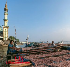 Harga Rajungan Belum Normal, Nelayan Tradisional Lamongan Beralih Tangkap Rebon