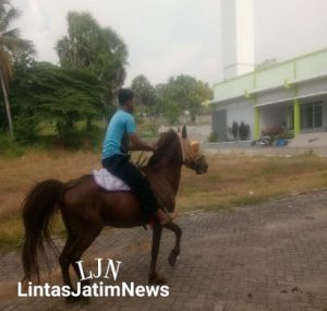 Masuk Pertama Ekstra, KMI Karangasem Lamongan Kenalkan Santri Berkuda