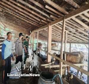 Bersama Instansi Terkait,Serma Rohandi Lakukan Pengecekan Hewan Ternak Di Wilayah Binaannya