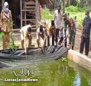 Manfaatkan Peluang Usaha, Babinsa Koramil 0801/01 Pacitan Lakukan Pendampingan Budidaya Ikan Lele