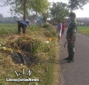Kerja Bakti Babinsa Dan Bhabinkamtibmas Bersama Warga Karanglor, Wujudkan Kebersihan Lingkungan