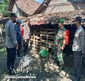 Cegah Penyebaran PMK,Serda Wawan Laksanakan Penyemprotan Disenfektan Pada Hewan Ternak