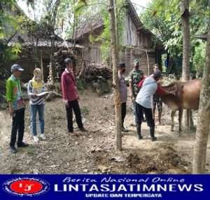 Anggota Koramil Bringin Bersama Instansi Terkait Lakukan Vaksinasi Pada Hewan Ternak