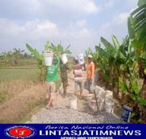 Menjadi Pelopor di Wilayah Binaan, Babinsa Bantu Pengecoran Jalan Setapak Menuju Sawah