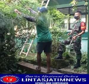 Gotong Royong Babinsa Bersama Tukang Kebun Sekolahan Bersihkan Ranting Pohon