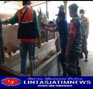 Babinsa berperan aktif dalam pendampingan serta Sosialisasi vaksinasi PMK