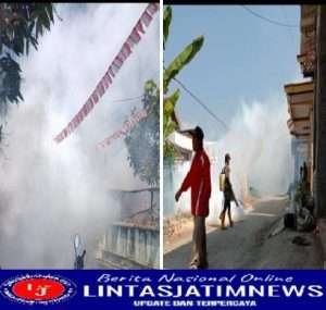 Fogging di Desa Sumberagung Dalam Rangka Cegah Penularan Demam Berdarah