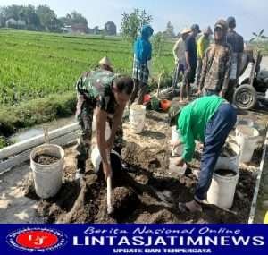 Dukung Pembangunan Desa, Babinsa Bersama Warga Laksanakan Betonisasi jalan