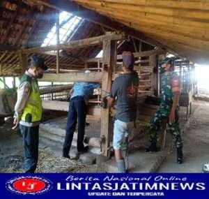 Babinsa Ngadirojo Kidul Dampingi Pelaksanaan Vaksin PMK Di Desa Binaan