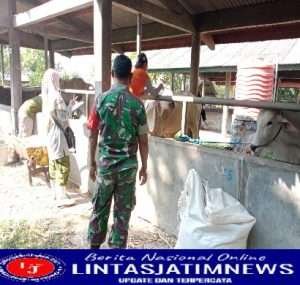 Ini Cara Serka Sudiono Cegah Penyebaran PMK Di Wilayah Binaannya