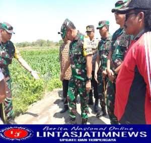 Katim Wasev Cek Kualitas Sasaran Fisik TMMD Jerukan