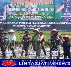 Wujudkan Ketahanan Pangan, Dandim Ngawi Dampingi Danrem 081/Dsj Penanaman Padi Bersama Forkopimda