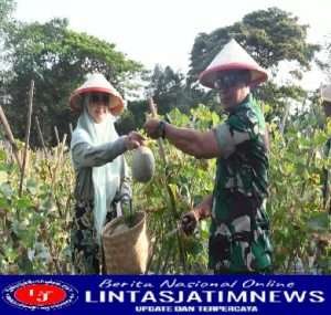 Panen Perdana Buah Melon di Bosbow Kota Madiun